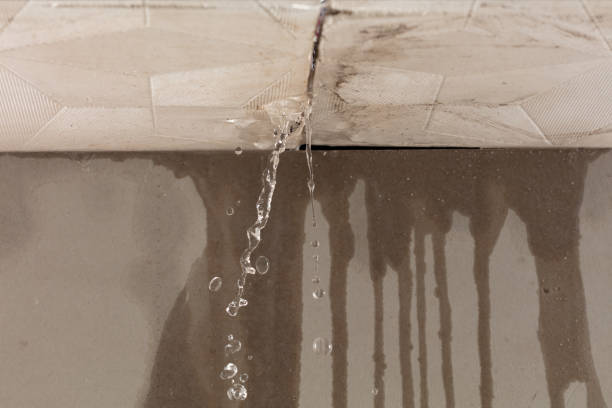 Professional Water Damage Inspection technician working in New Lebanon, NY